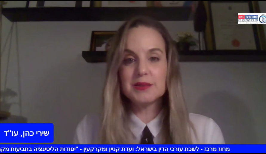 ועדת קניין ומקרקעין יסודות הליטיגציה בתביעות במקרקעין