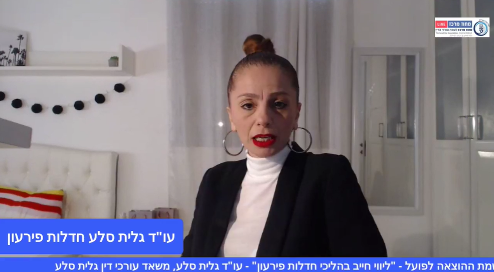 ליווי חייב בהליכי חדלות פירעון