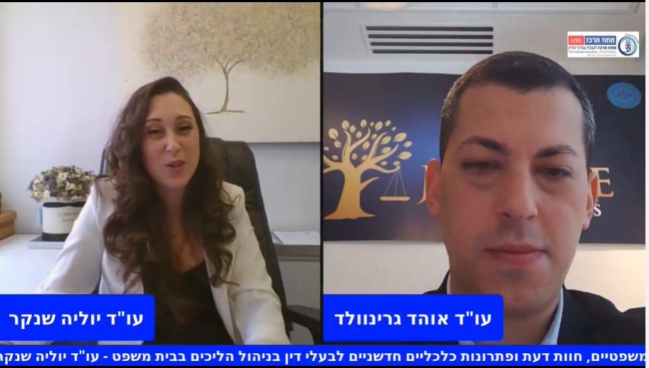 מימון הליכים משפטיים, חוות דעת ופתרונות כלכליים חדשניים לבעלי דין בניהול הליכים בבית משפט