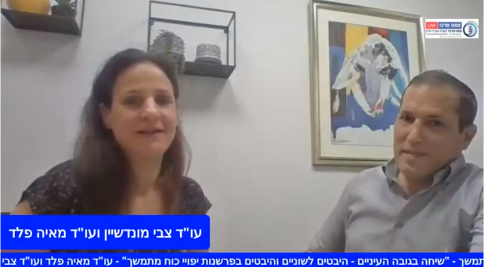 שיחה בגובה העיניים היבטים לשוניים והיבטים בפרשנות ייפוי כוח מתמשך