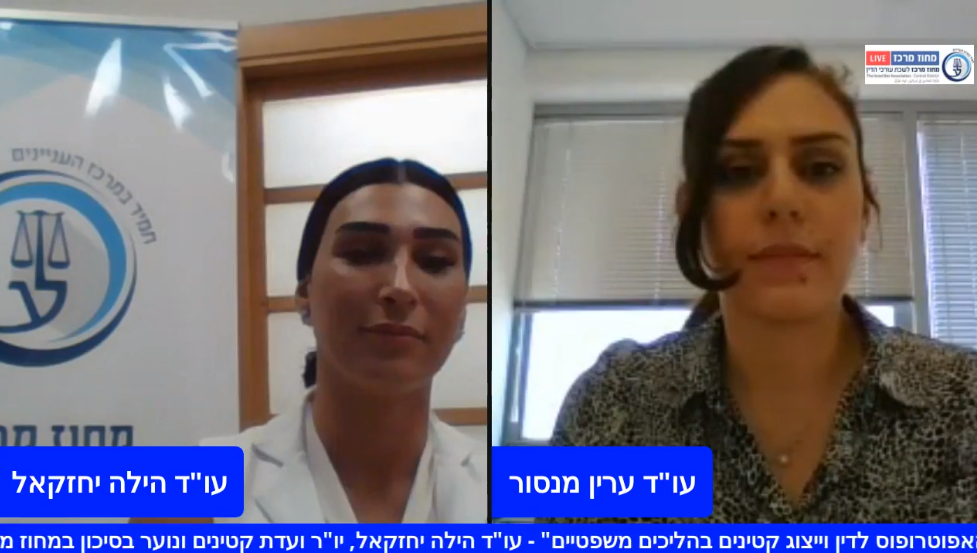 תפקיד האפוטרופוס לדין וייצוג קטינים בהליכים משפטיים