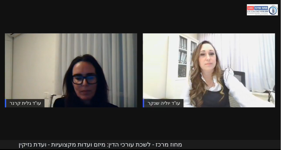 מיזם ועדות מקצועיות ועדת נזיקין