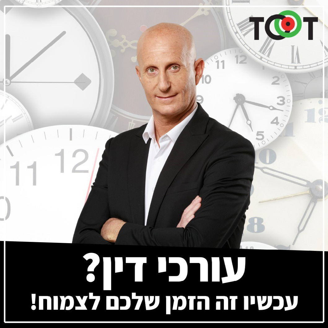 אלון גל